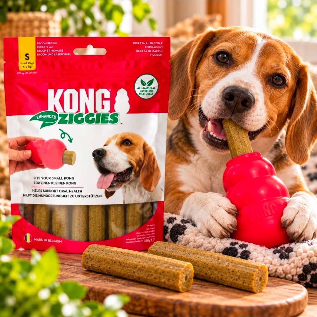 Kong Ziggies Enhanced, size S - 198 g/ 12 pcs