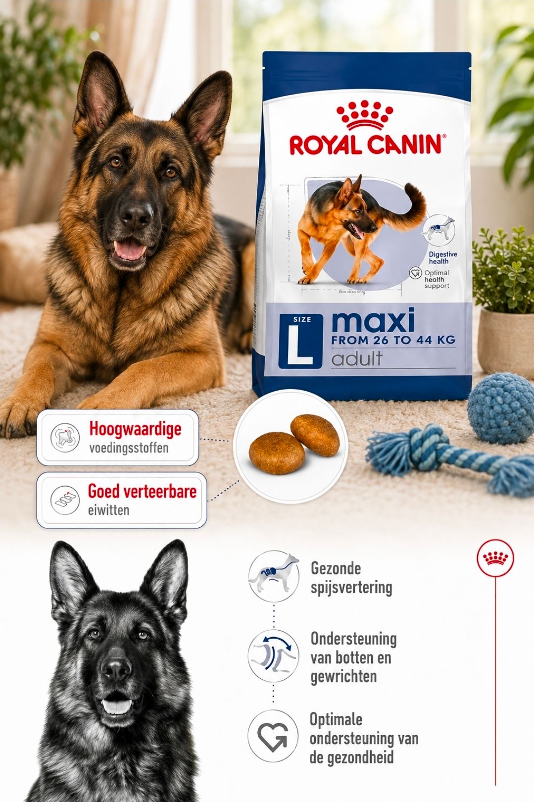 ROYAL CANIN Maxi Adult - 15 kg