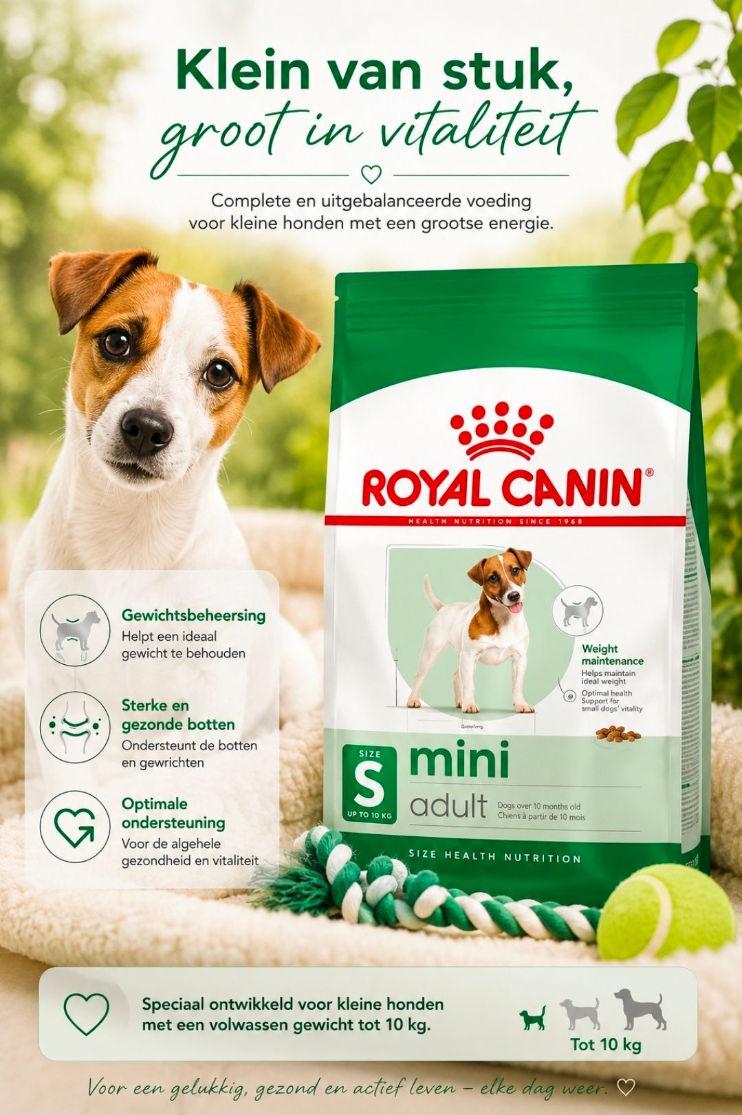 ROYAL CANIN Mini Adult - 2 kg