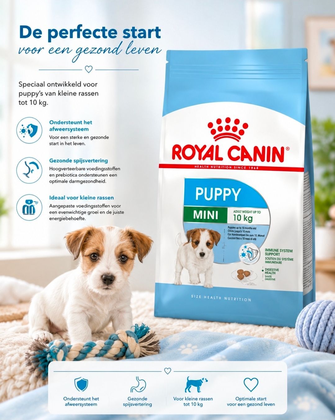ROYAL CANIN Mini Puppy - 2 kg