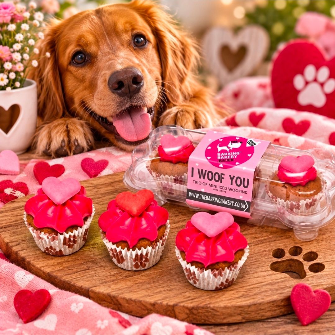 The Barkin Bakery Mini Iced Woofins Trio Assorti - I Woof You Valentine