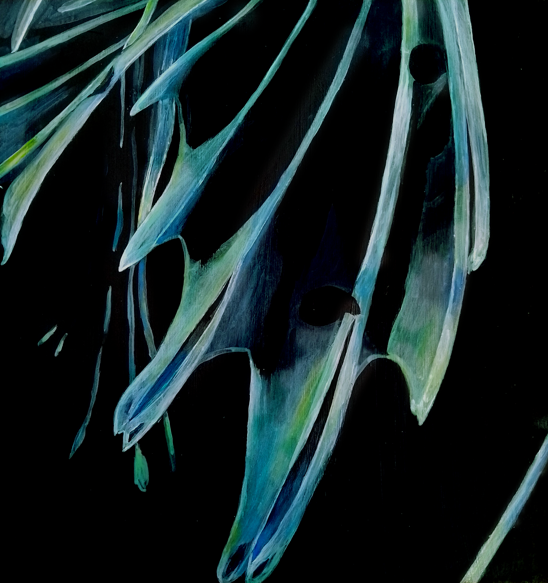 Abstracte blauwgroene, bladachtige structuren op een zwarte achtergrond.