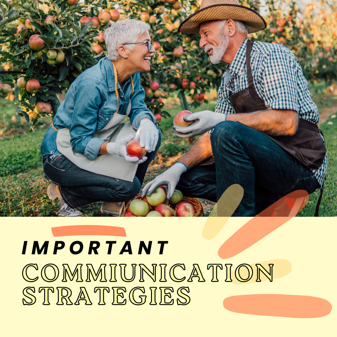 A man and a woman are picking apples in an orchard.