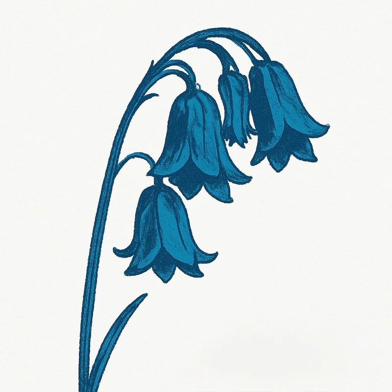 The Bluebells