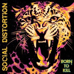 Social Distortion