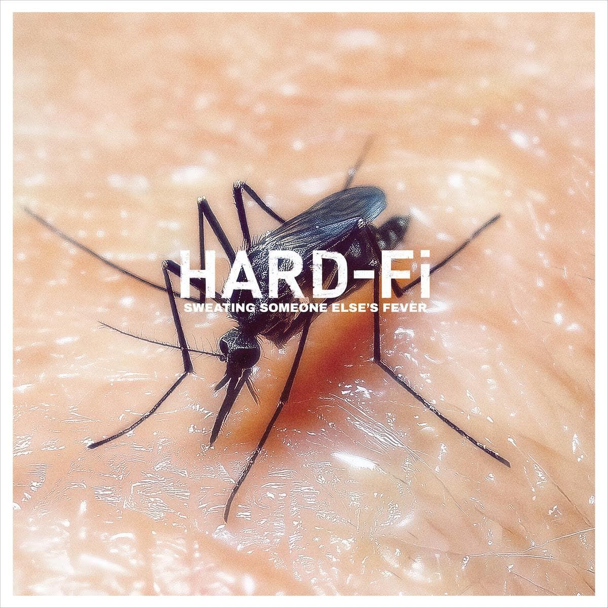 Hard-Fi