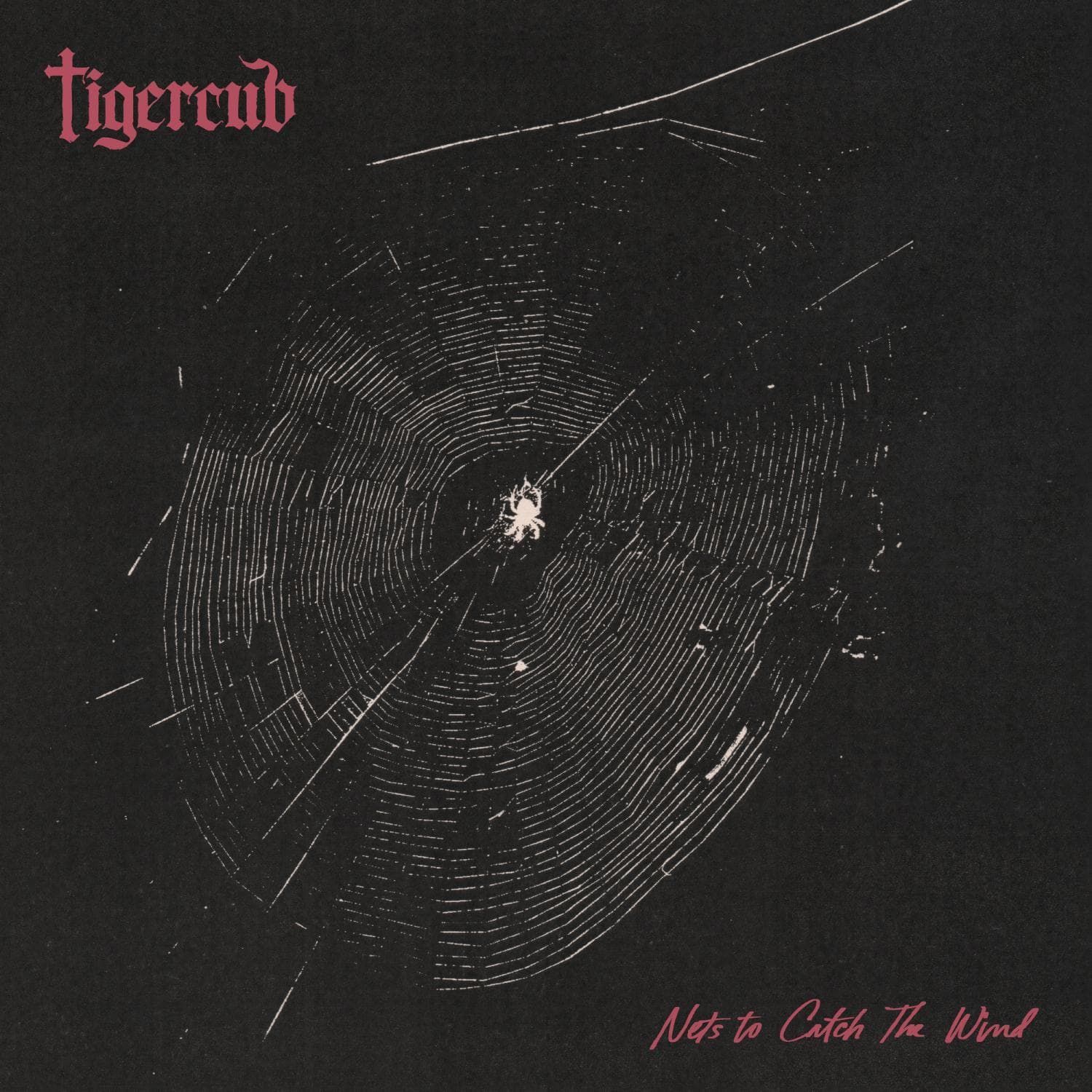 Tigercub