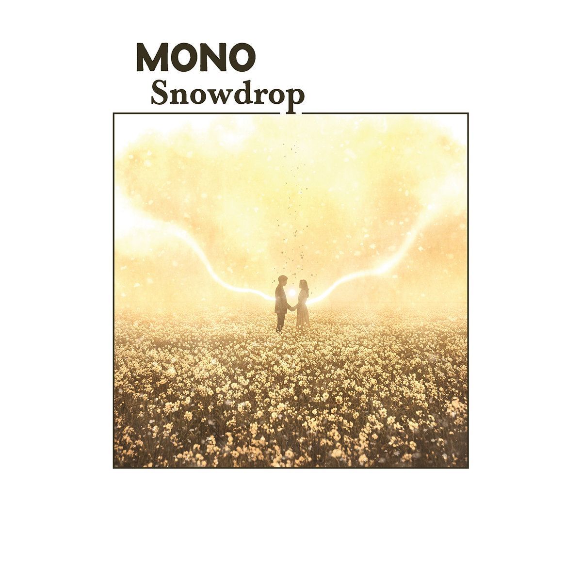 MONO