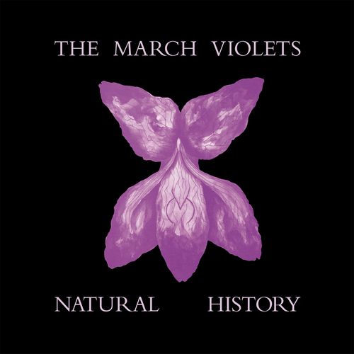 Natural History