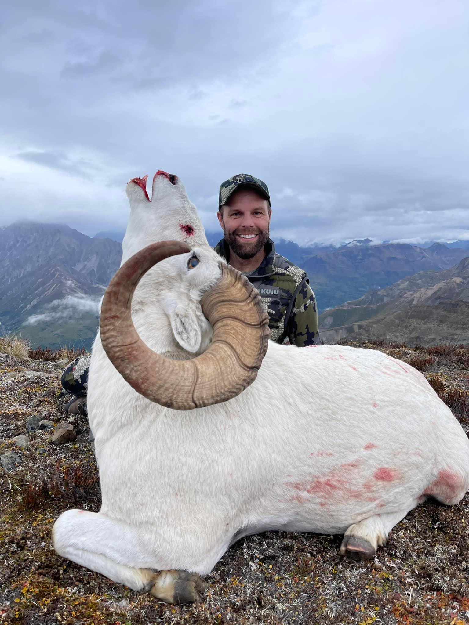 Alaska Sheep Hunting, Alaska Sheep Hunting Guide