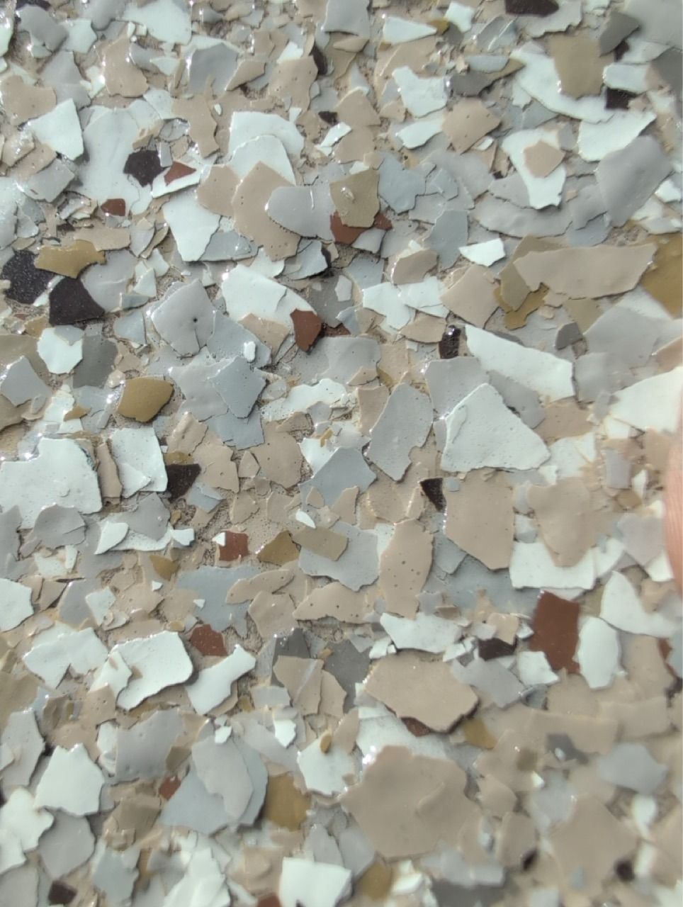 Scattered beige and white paint chips covering a surface, creating a textured abstract pattern.