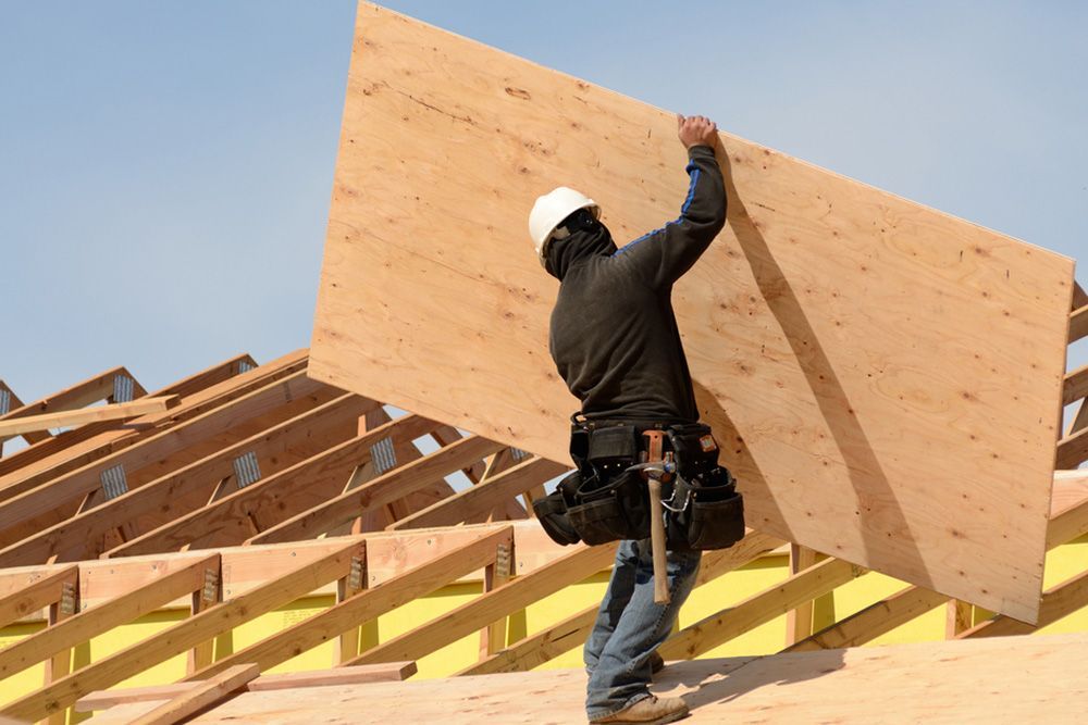 Man Carrying a Plywood at the Top of the Roof — Builder in Lowmead, QLD