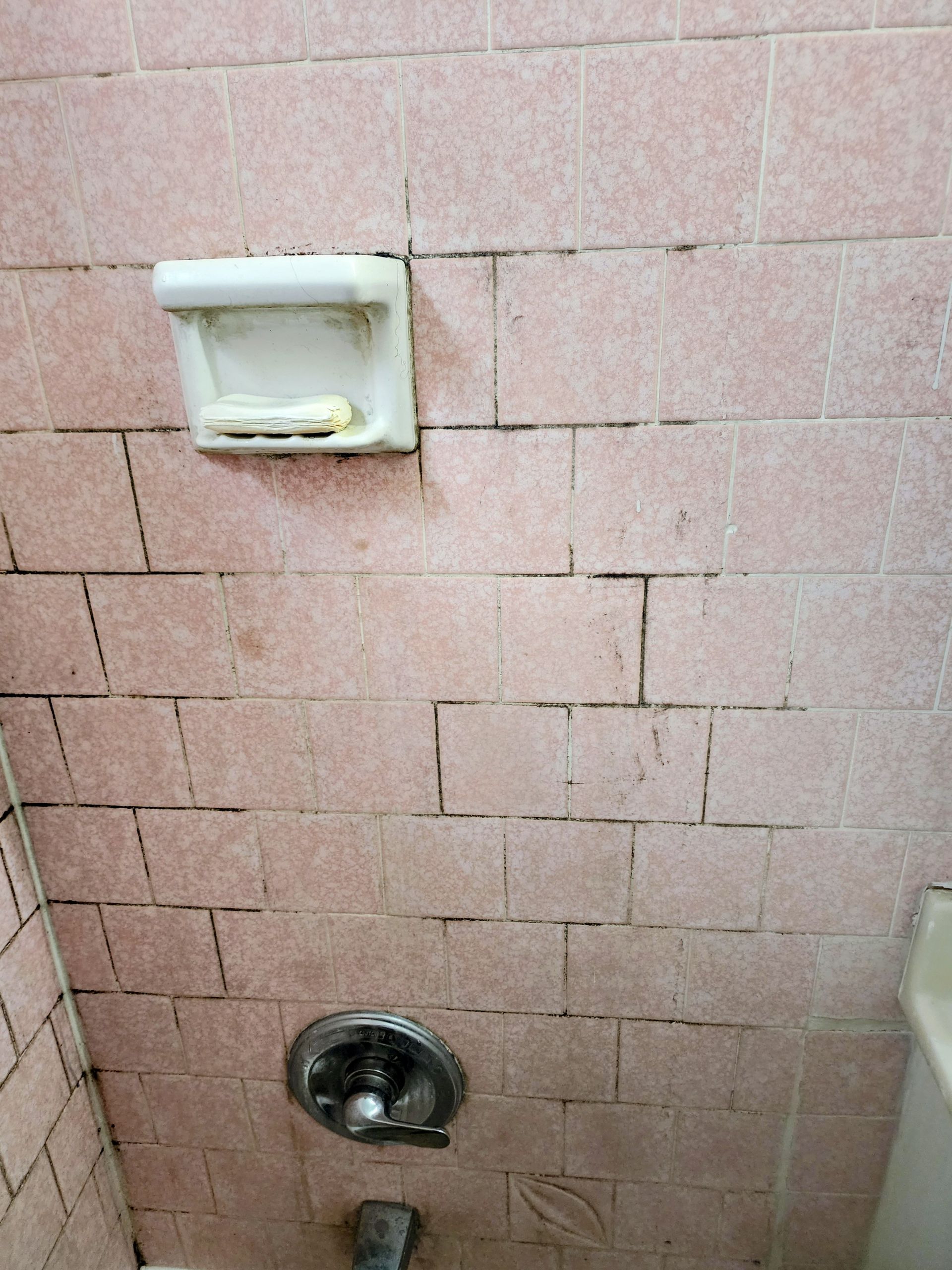 Pink tiled shower wall with soap dish and a shower control knob.