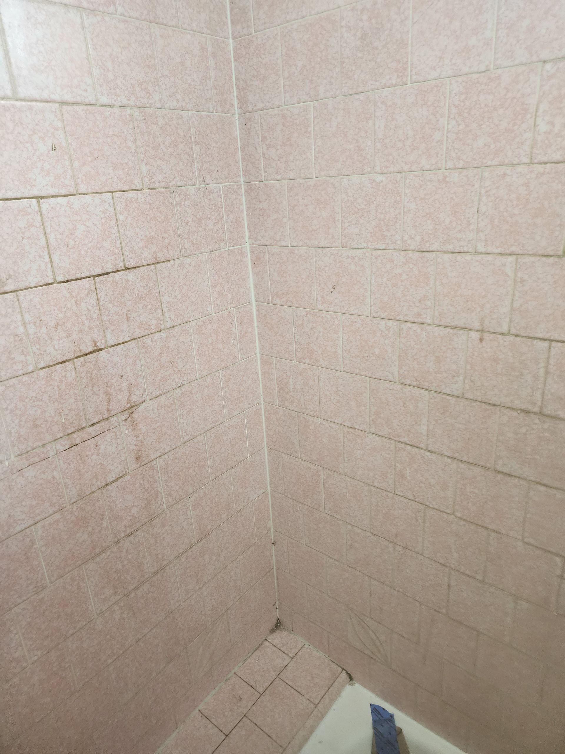 Empty tiled shower corner with beige walls and a small blue item at the bottom.