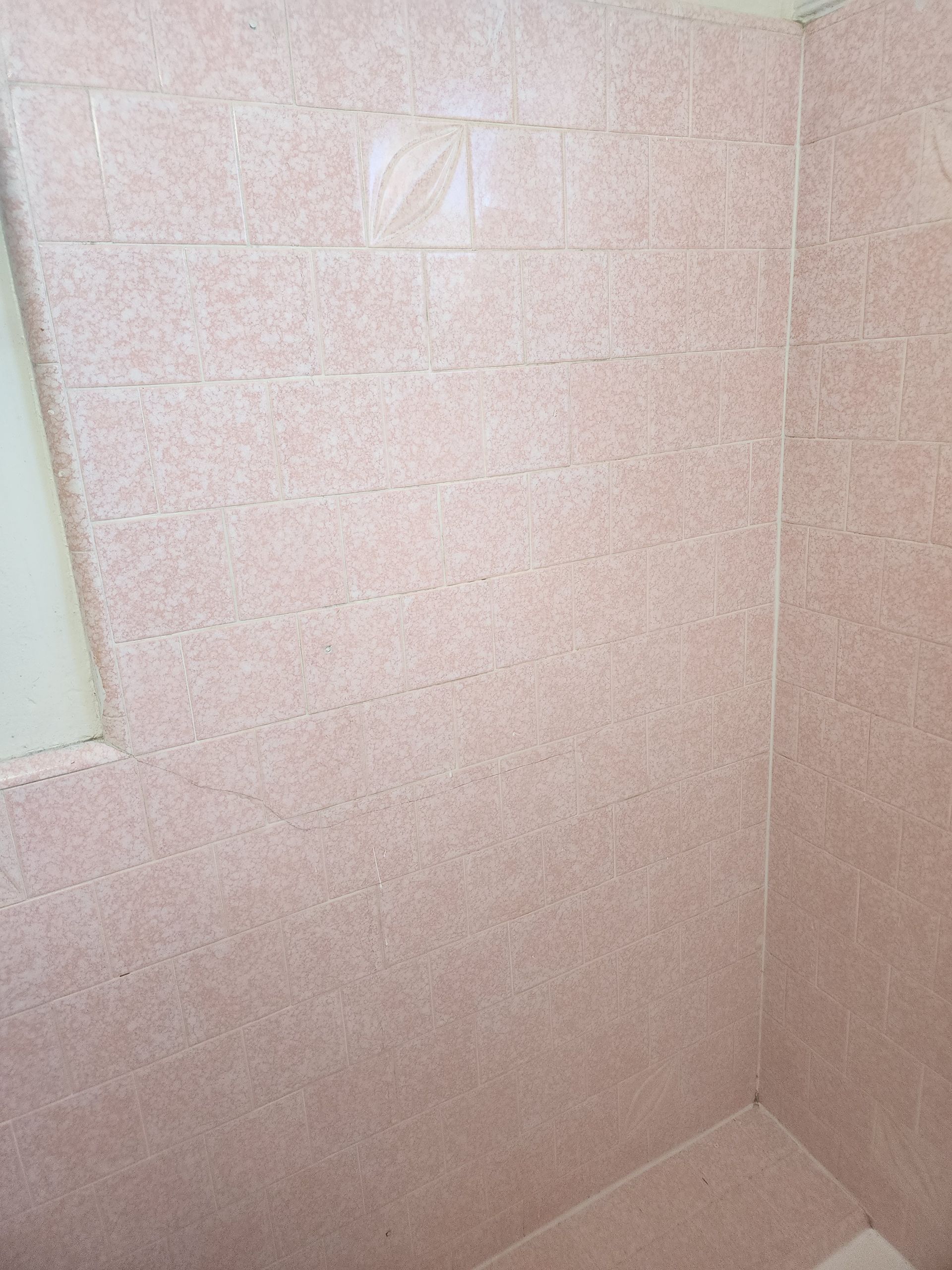 Pink tiled shower corner with a frosted window on the left.
