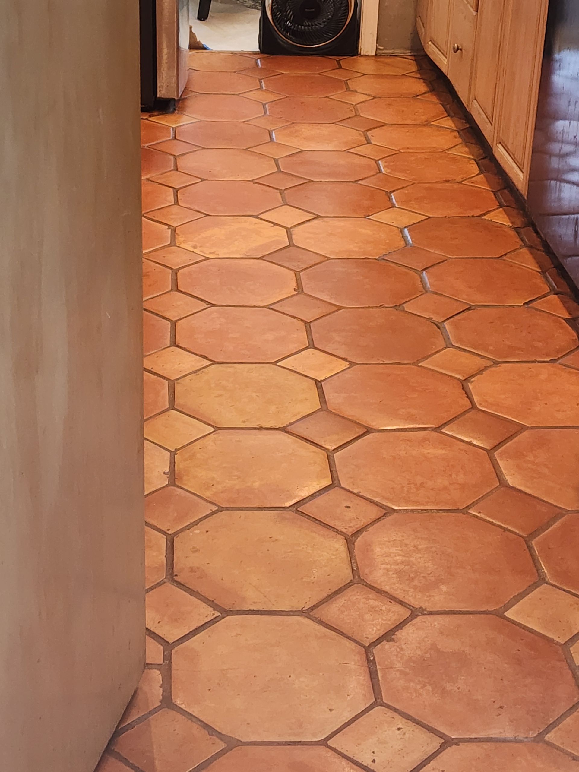 Narrow hallway with terracotta hex tile floor and wooden doors, with a dark object at the far end