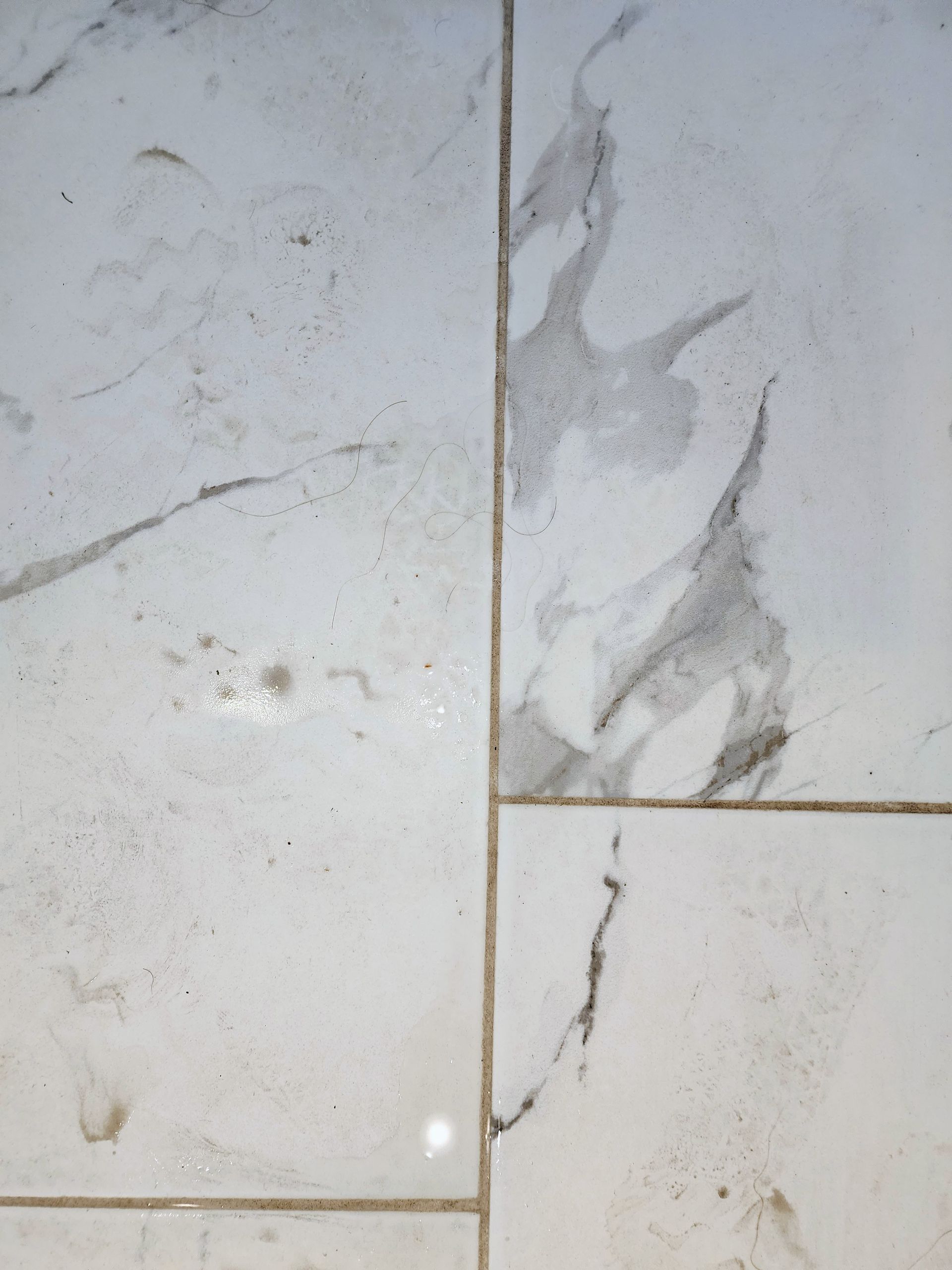 White tiled floor with gray veining and a visible grout line between tiles