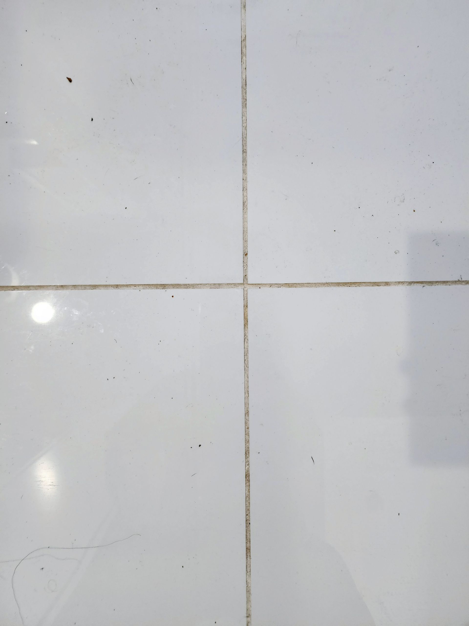 Close-up of white floor tiles with beige grout lines and a small glare spot on the left.