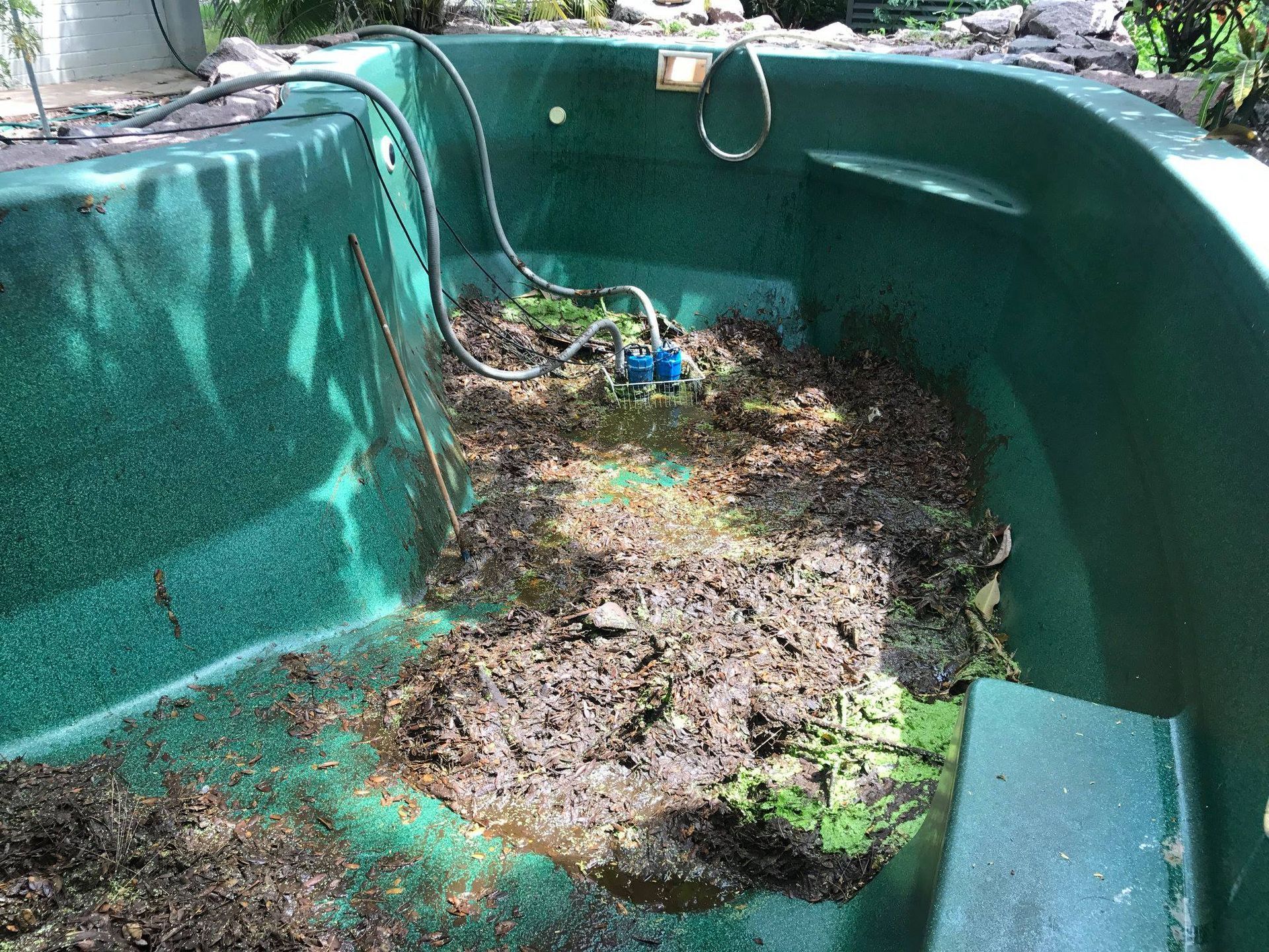A Green Swimming Pool Filled With Dirt and Leaves — Fannie Bay Pool Shop in Winnellie, NT