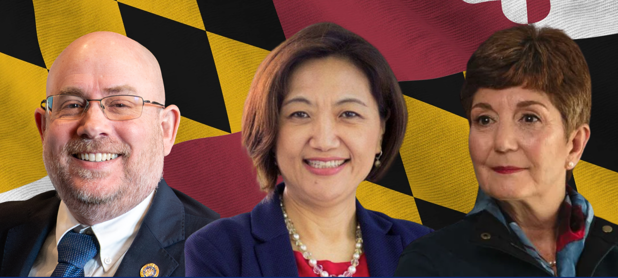 Delegates for District 15, David Fraser Hidalgo, Lily Qi and Linda Foley 