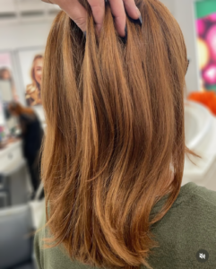 Back view of shoulder-length, layered auburn hair styled in a salon.