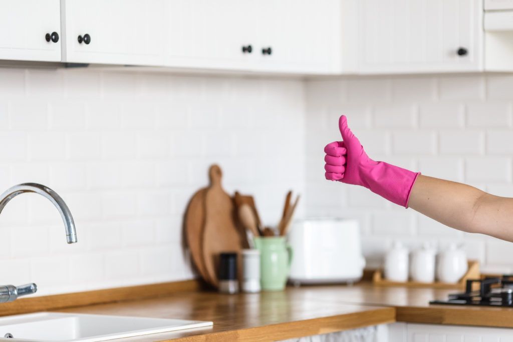 professional house cleaners