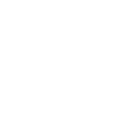 icona logo