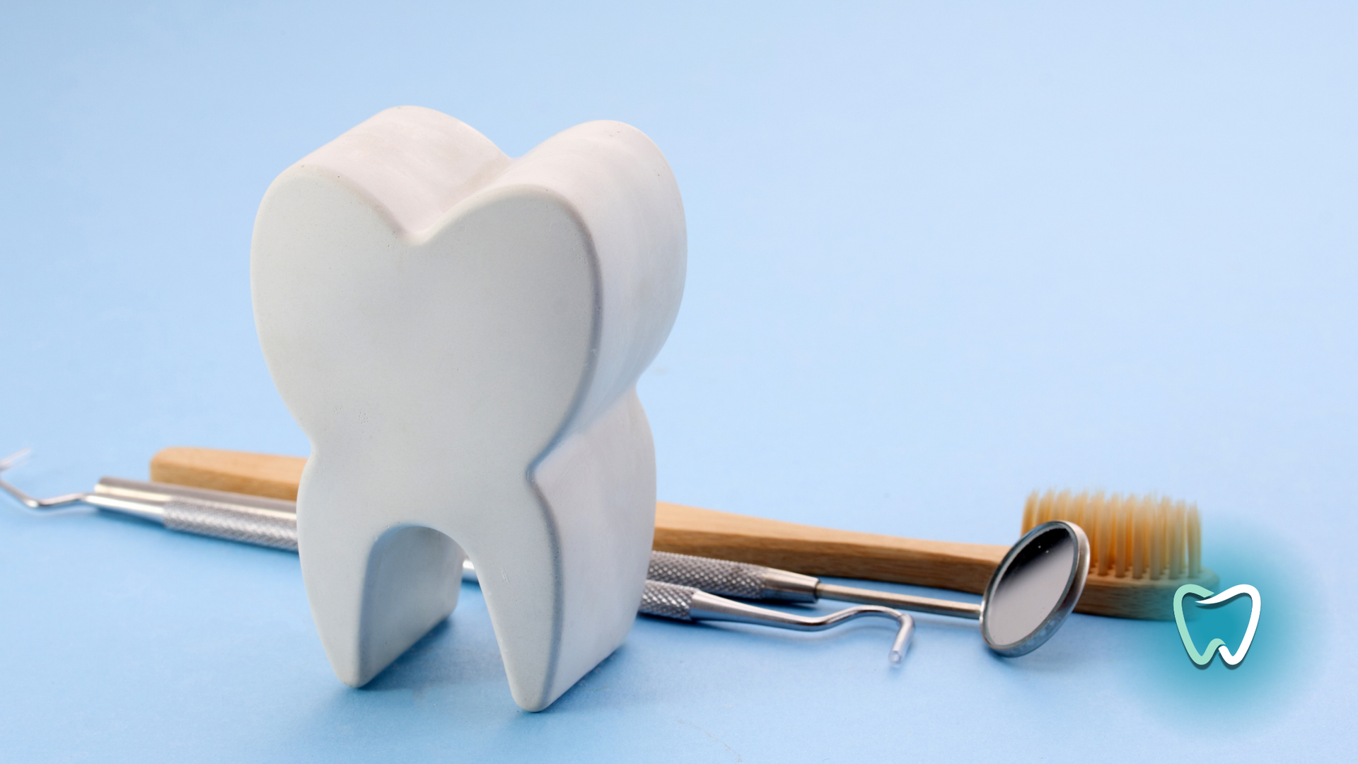 A model of a tooth next to a toothbrush and dental tools