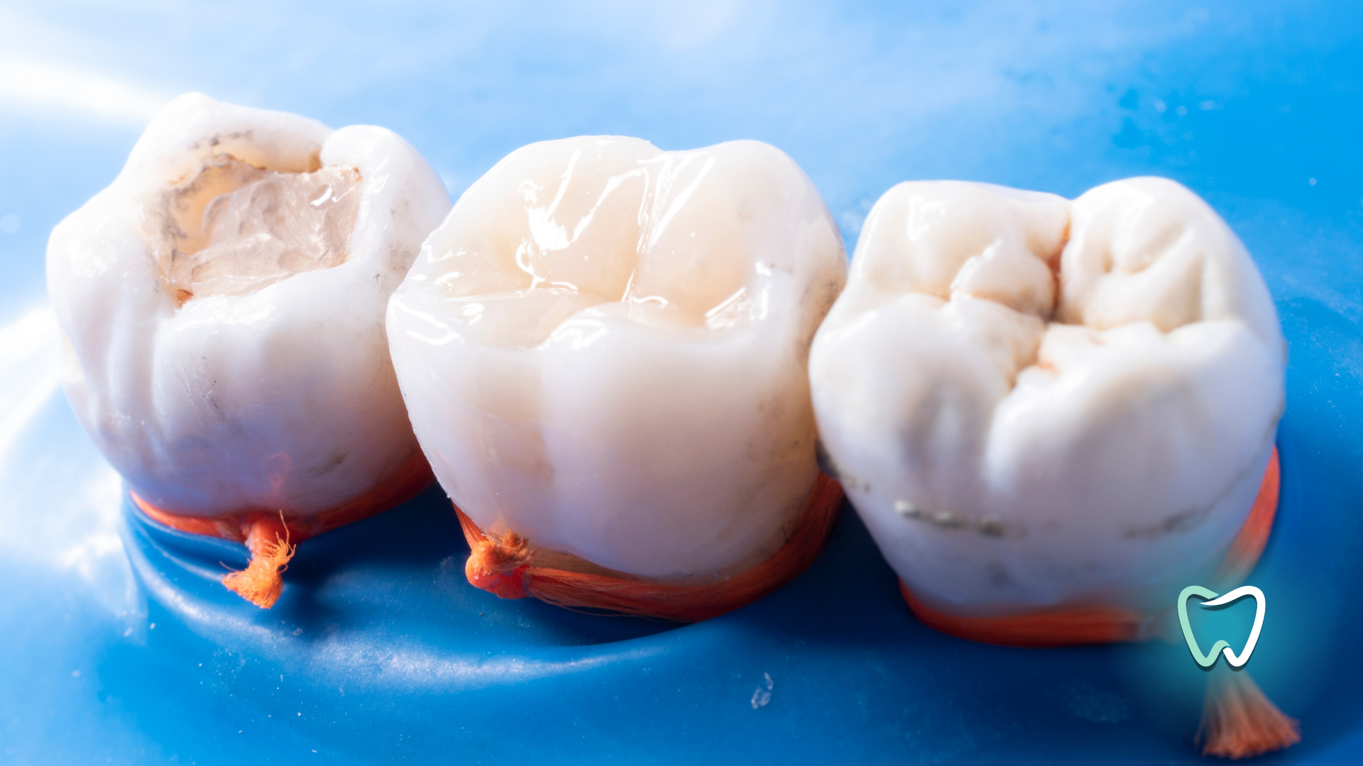 Three teeth are sitting on a blue surface.