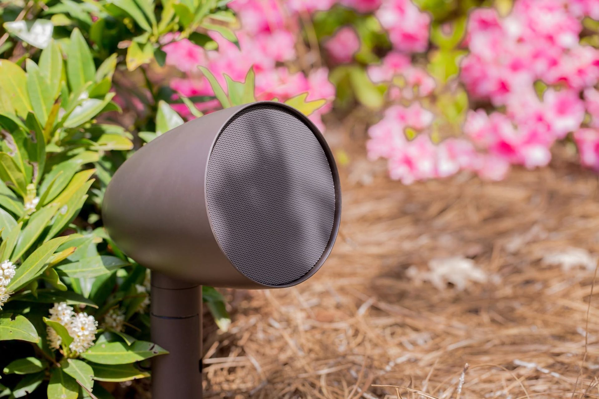 Brown garden speaker beside green plants and pink flowers