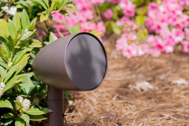 Garden spotlight aimed toward flowers and shrubs