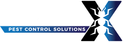 Pest Control in Port Macquarie