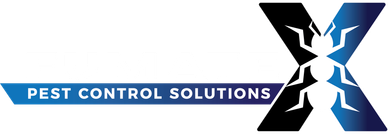 Pest Control in Port Macquarie