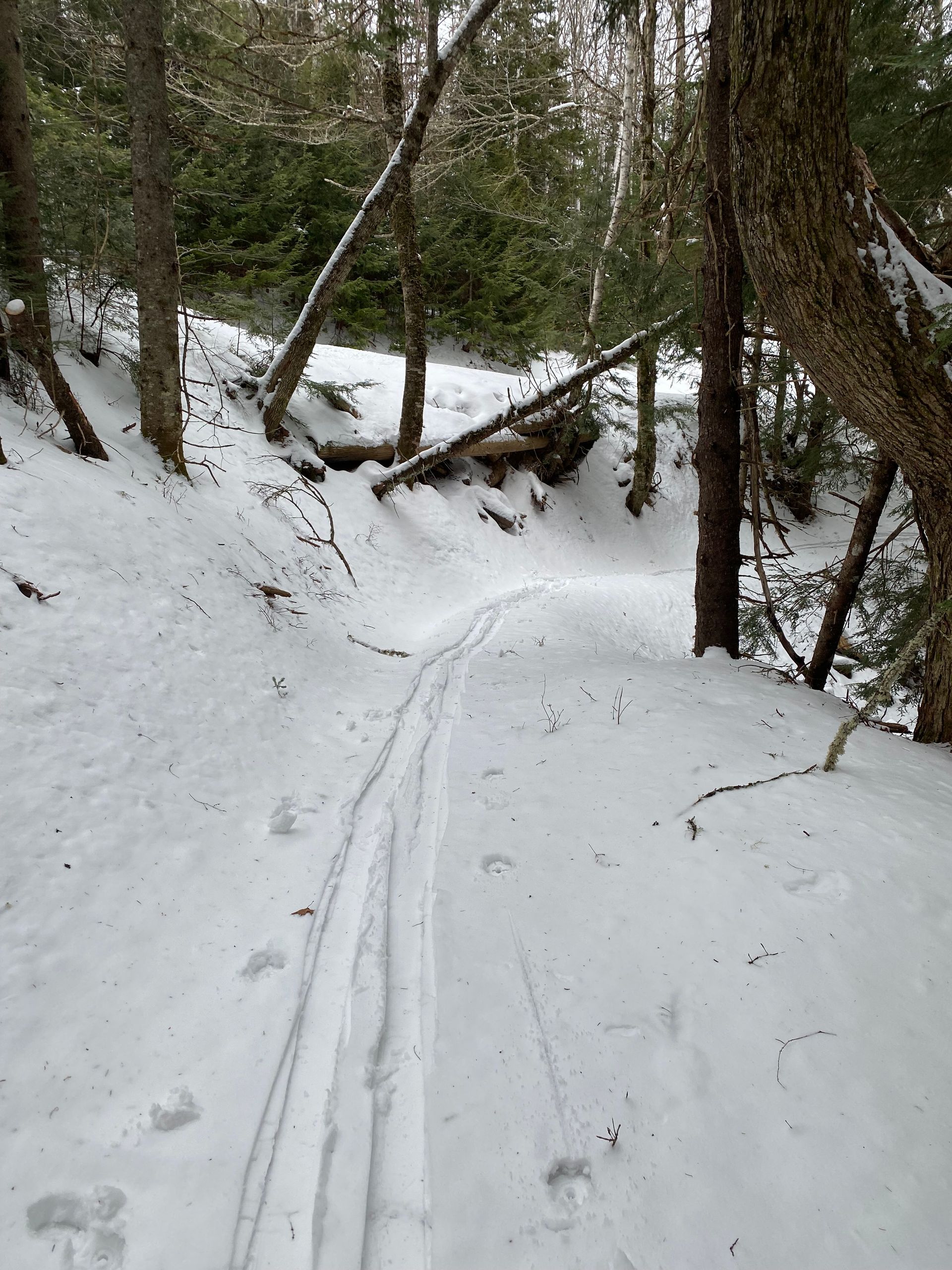 Uphill Policy at Poley Mountain