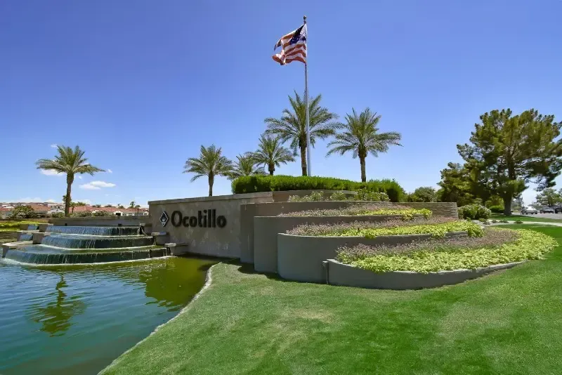 Ocotillo in Chandler