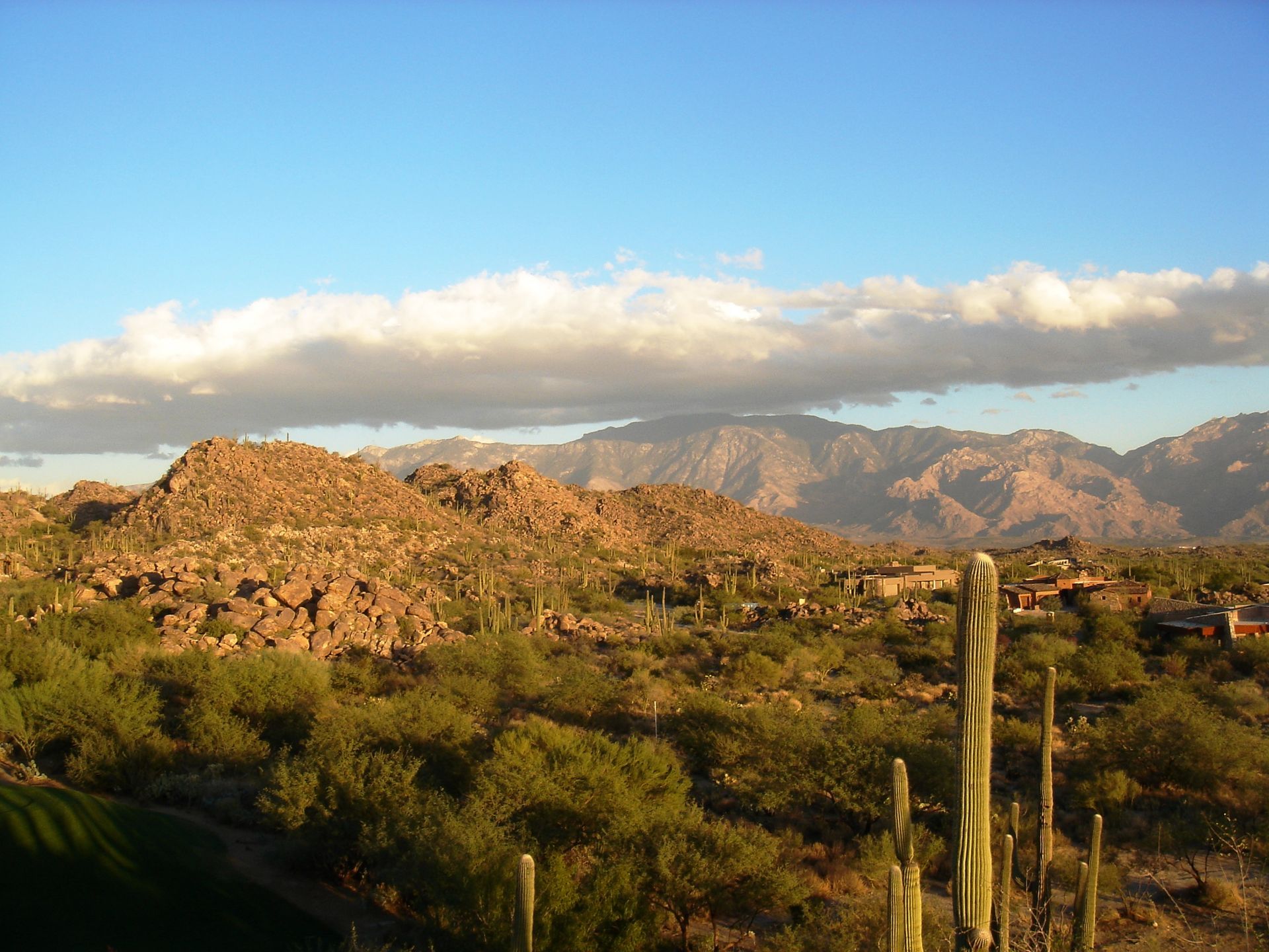 Oro Valley residential scenery