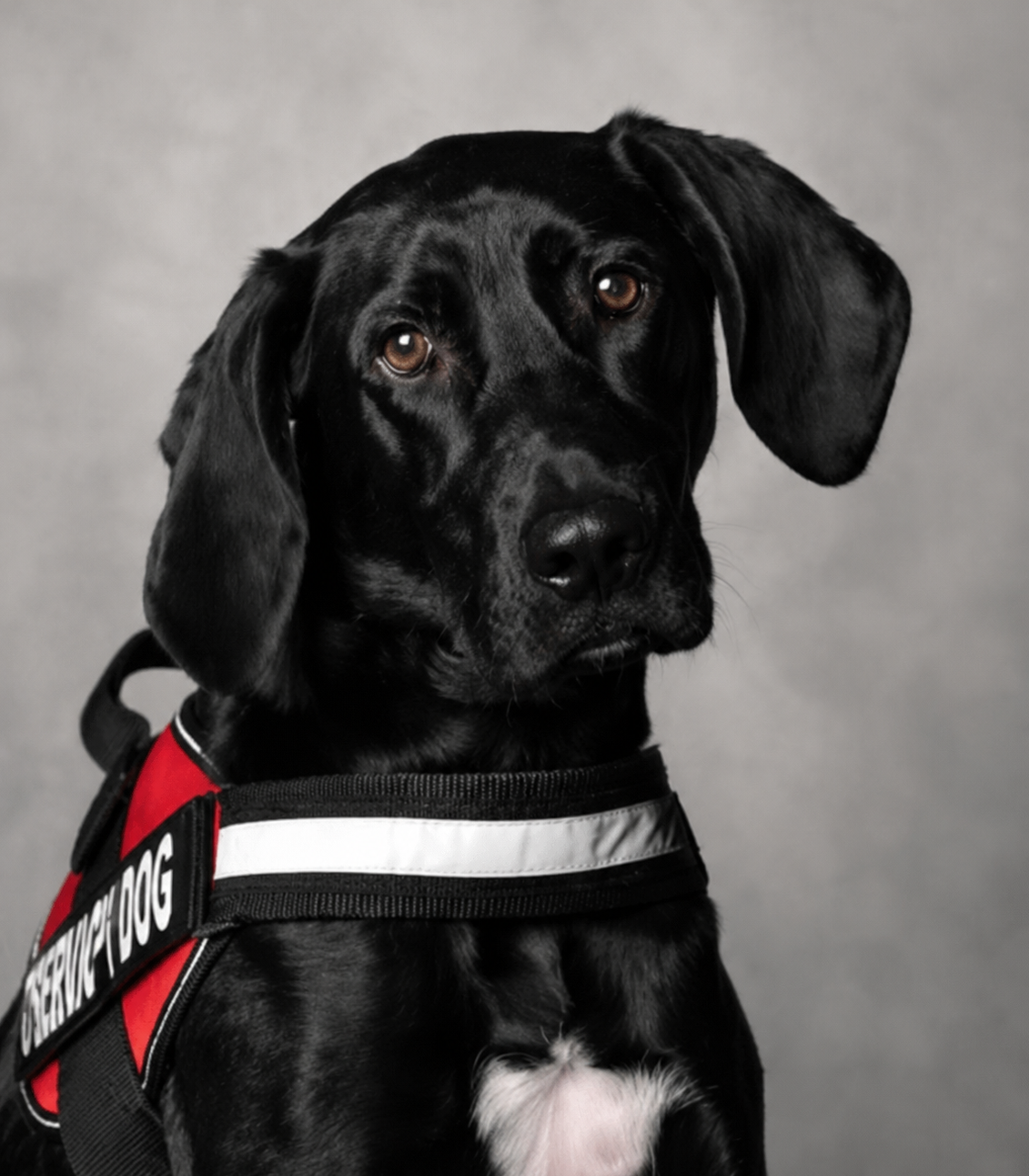 Staff Photo