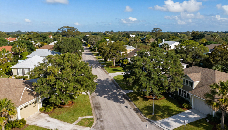 Aerial view of a quiet suburban street lined with trees and single-family homes on a sunny day