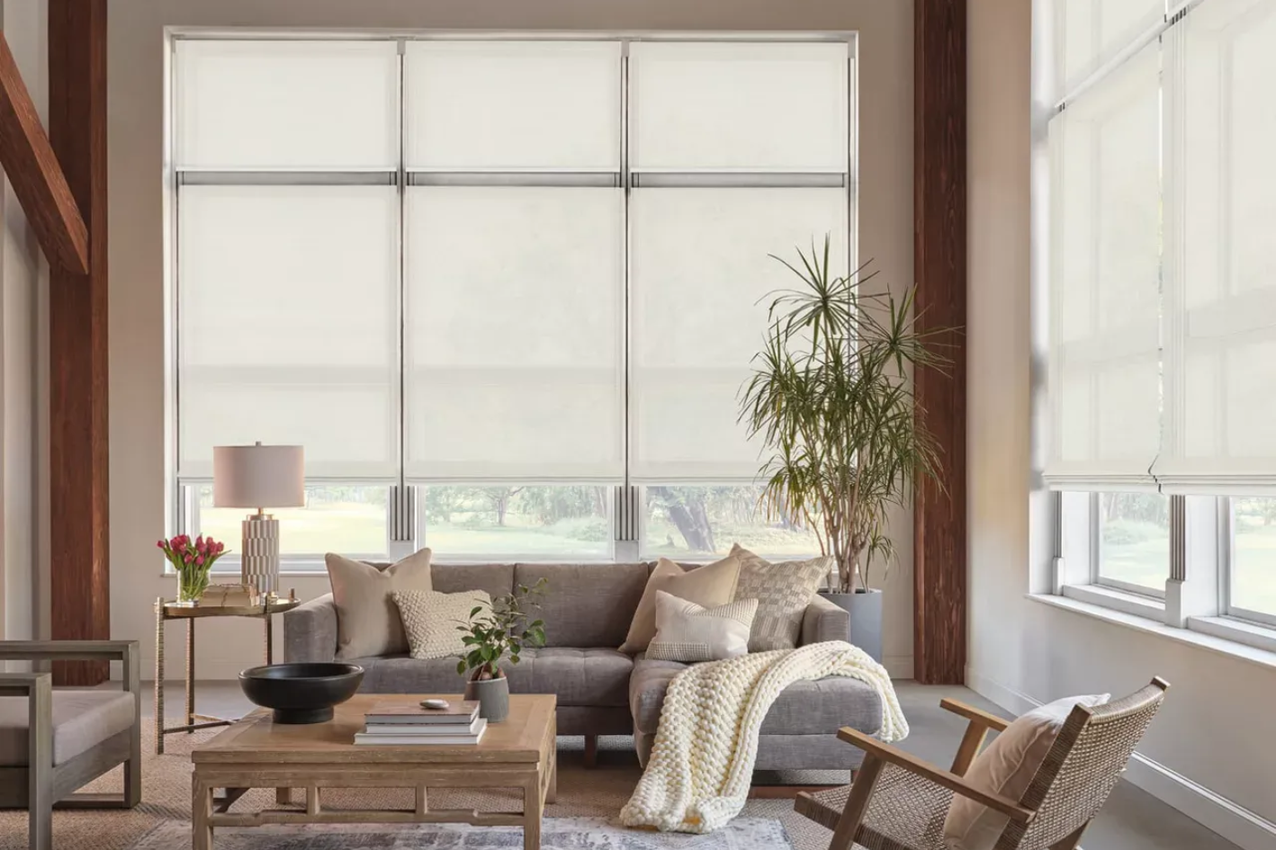 Living room with large windows, light gray sofa, and neutral roller shades.
