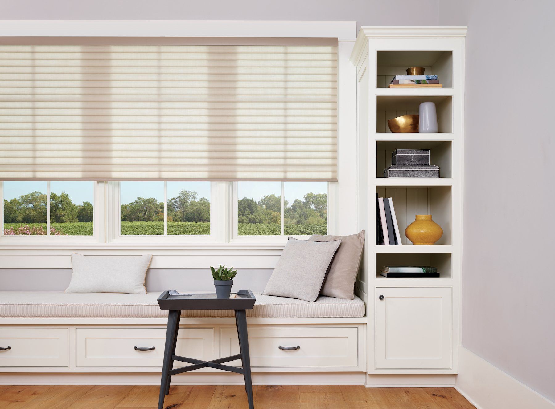 Window seat with neutral blinds, built-in shelves, and a small table with a plant.