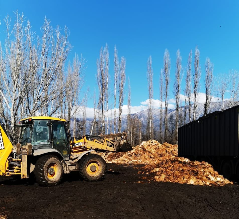 Agro Transportes