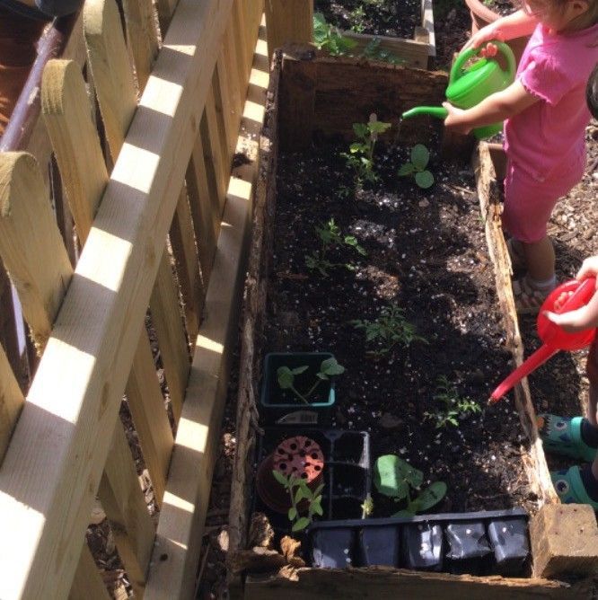 Children watering plants in a wooden garden bed next to a fence.