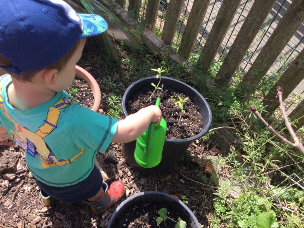 Young child in a blue cap, watering plants in a pot with a green watering can outside.
