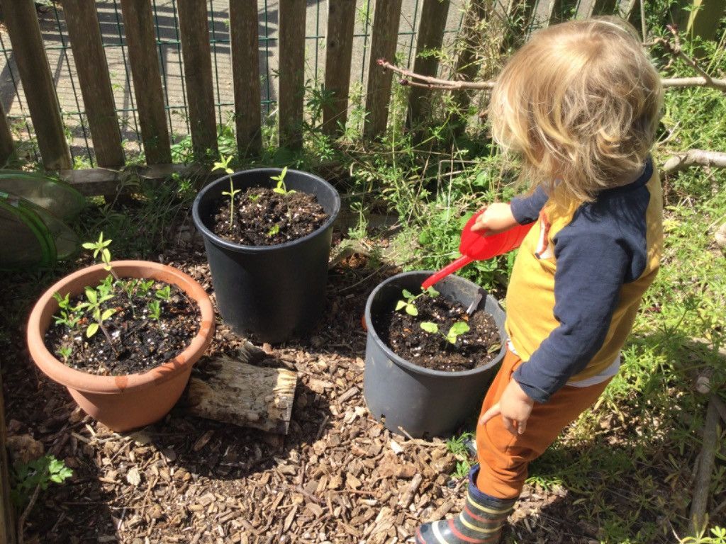 Child watering plants in pots, outside by a wooden fence.