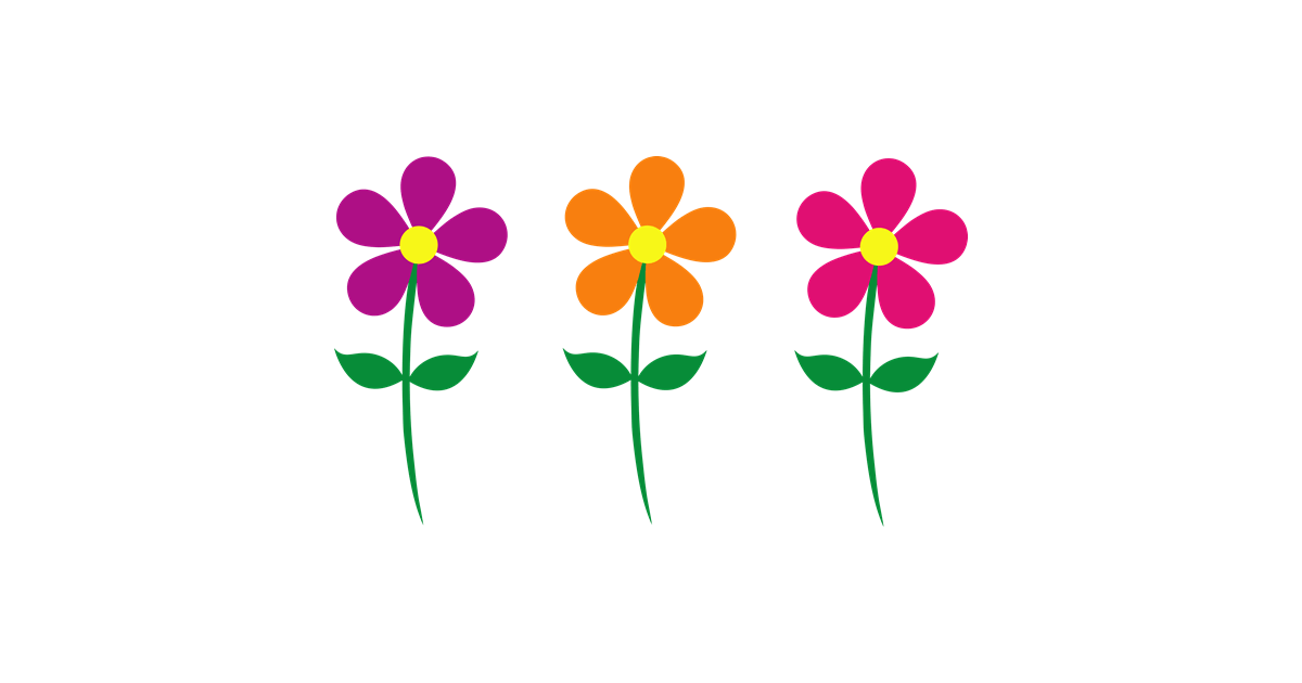 Three colorful flowers are lined up in a row on a white background.