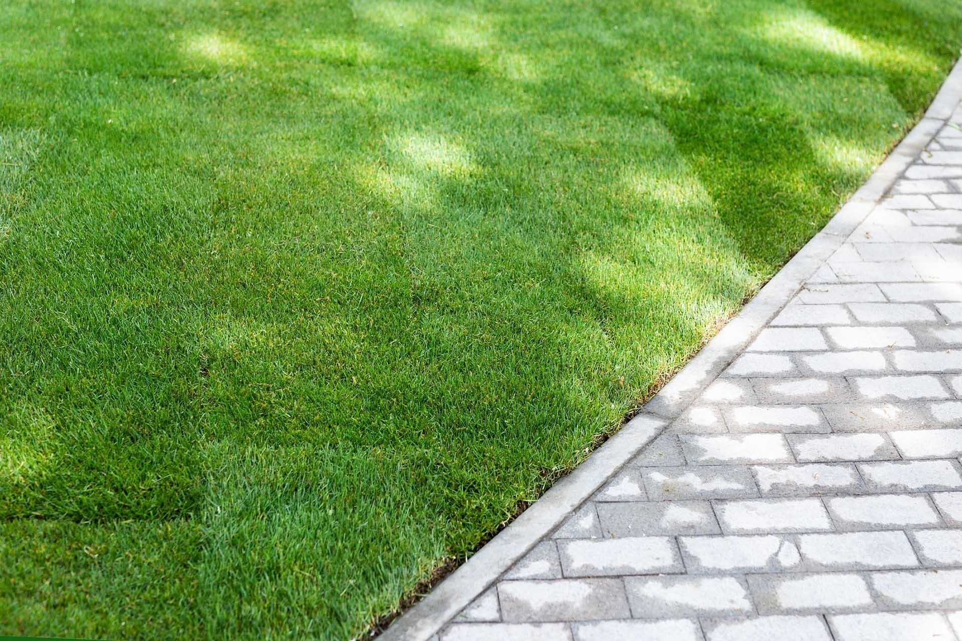 Newly Installed Sod — Mount Pleasant, SC — Tidewater Landscape LLC