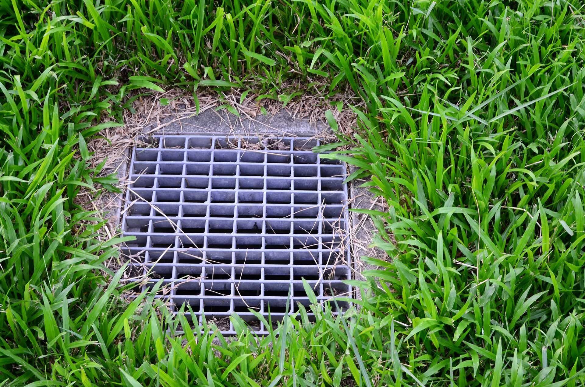 Grass Field Drainage — Mount Pleasant, SC — Tidewater Landscape LLC