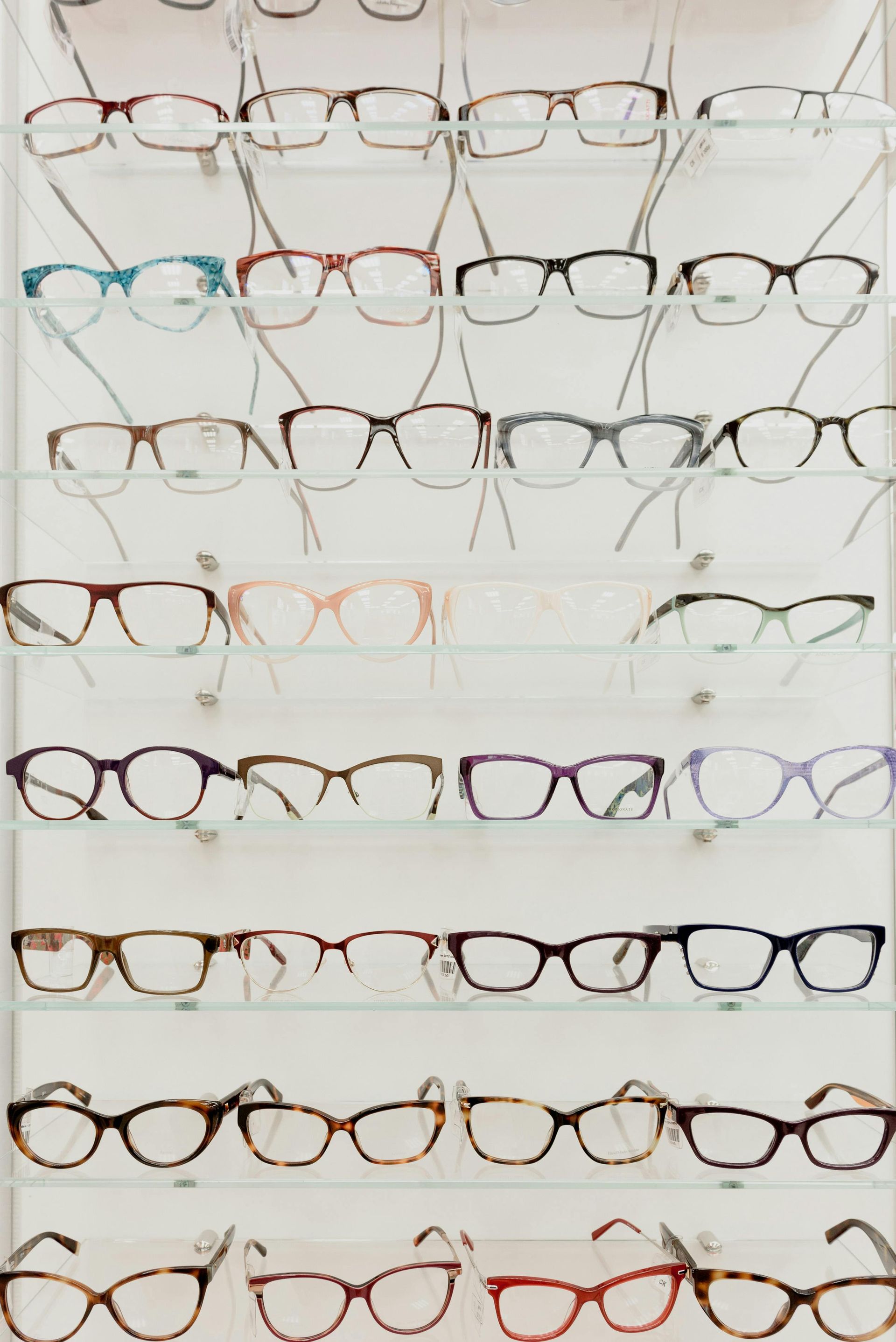 Rows of eyeglasses in assorted frame colors displayed on a white wall rack