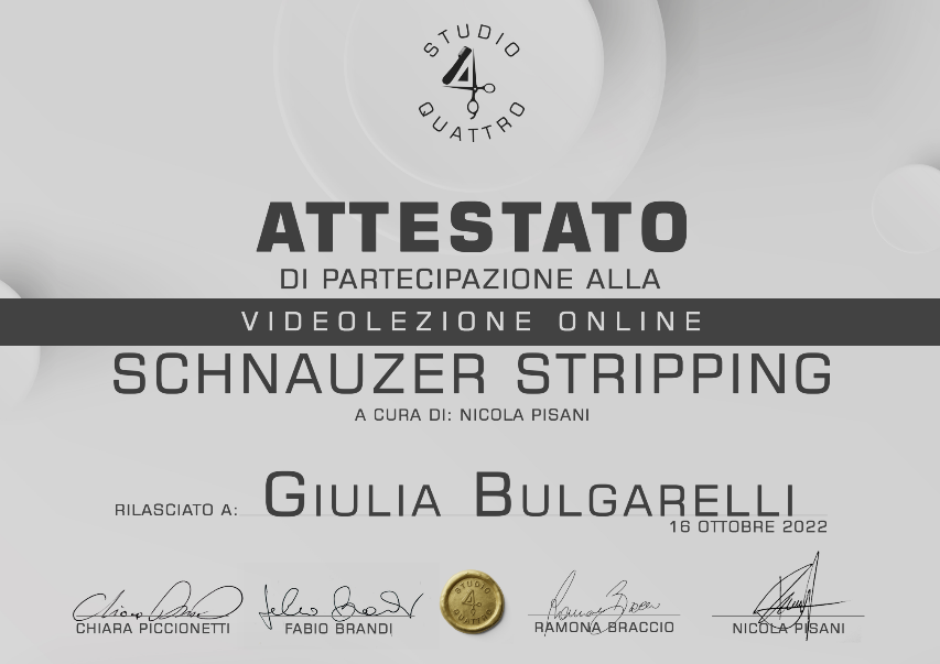 dog toelettatura