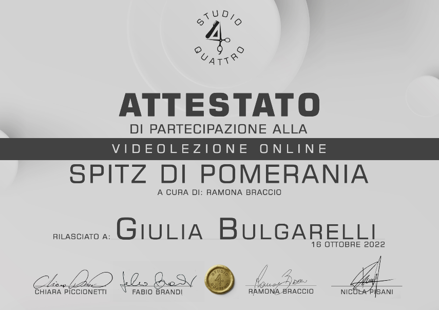 dog toelettatura